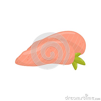 Fillet of chicken breast, healthy food vector Illustration on a white background Vector Illustration