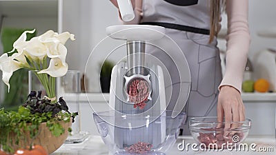 Making minced meat in an electric meat grinder from fresh beef at home. Pile of chopped meat. Electric mincer machine Stock Photo