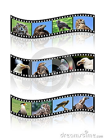 Film strips Stock Photo