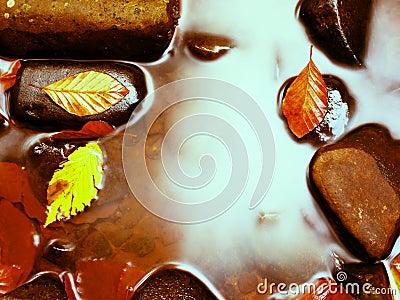 Filtered photo.Gravel at mountain river covered with fall leaves Stock Photo