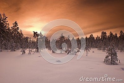 Filtred wintery landscape Stock Photo