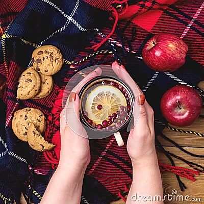 Fimale Hands are holding Cup of Hot Berries Lemon Tea Cookies Red Apples Concept of Autumn Breakfast Woolen Blamket Wooden Backgro Stock Photo