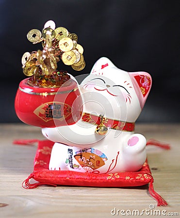 Finance savings lucky fortune cat money tree coin bank Stock Photo