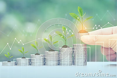 Finance,Woman hand holding plant growing on stack of coins money and graph on natural green background, investment and business Stock Photo
