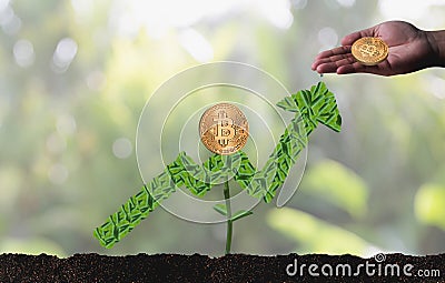 Financial golden Bitcoins ladder growth concept Crypto currency Stock Photo