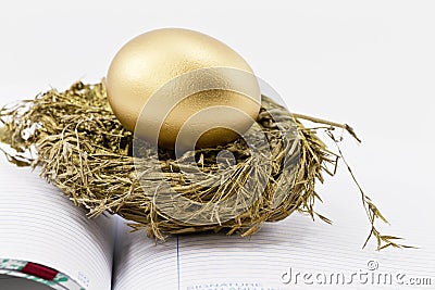 Financial Nest Egg on Open Ledger Stock Photo