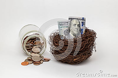 Bird nest with 100 dollar bills. Stock Photo