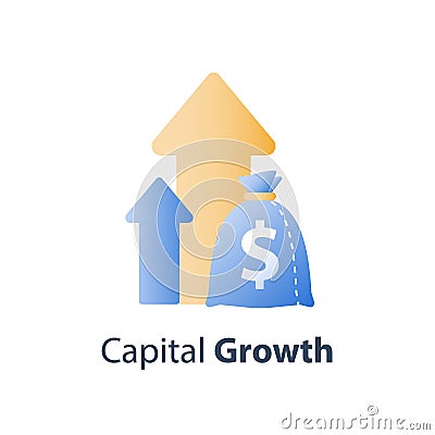 Financial value steady growth, long term investment strategy, asset allocation, revenue increase, mutual fund interest rate Vector Illustration