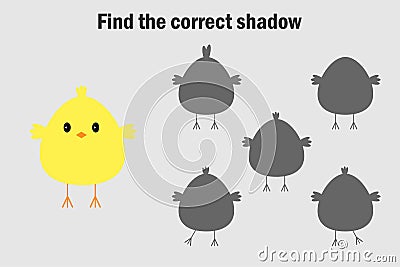 Find the correct shadow, easter game for children, chick in cartoon style, education game for kids, preschool worksheet activity, Stock Photo