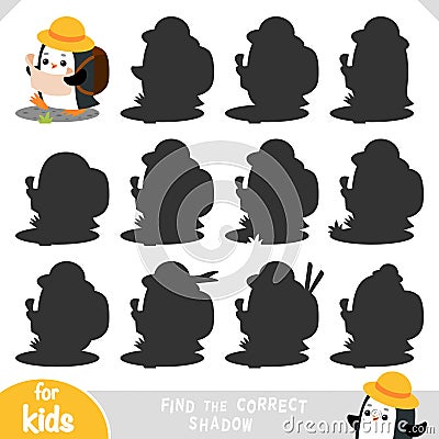 Find the correct shadow, education game for children, Cute Penguin traveler go hiking Vector Illustration