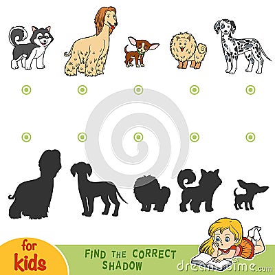 Find the correct shadow. Set of dogs Vector Illustration