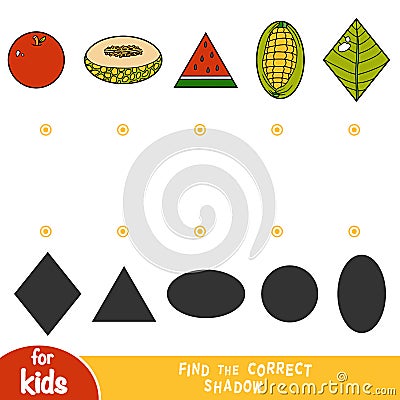 Find the correct shadow, education game, Set of nature items Vector Illustration