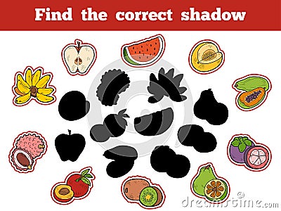 Find the correct shadow (fruits) Vector Illustration