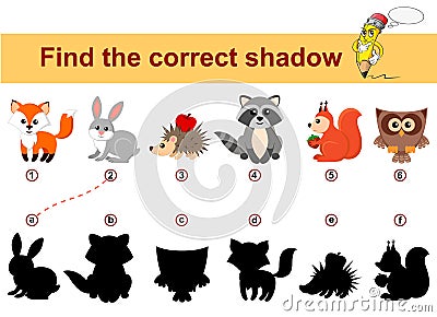 Find correct shadow. Kids educational game. Forest animals. Fox, rabbit, hedgehog, raccoon, squirrel, owl Vector Illustration