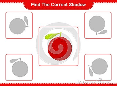 Find the correct shadow. Find and match the correct shadow of Yumberry. Educational children game, printable worksheet, vector Vector Illustration