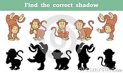 Find the correct shadow (monkey) Vector Illustration