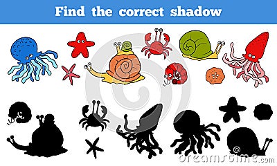 Find the correct shadow (sea life, fish, octopus, snail, stars, Vector Illustration