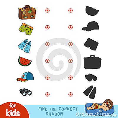 Find the correct shadow. Set of summer items Vector Illustration