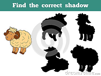 Find the correct shadow (sheep family) Vector Illustration