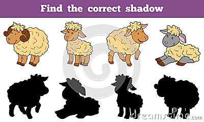 Find the correct shadow (sheep family) Vector Illustration