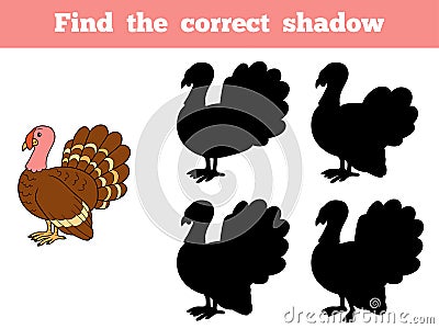 Find the correct shadow (turkey) Vector Illustration