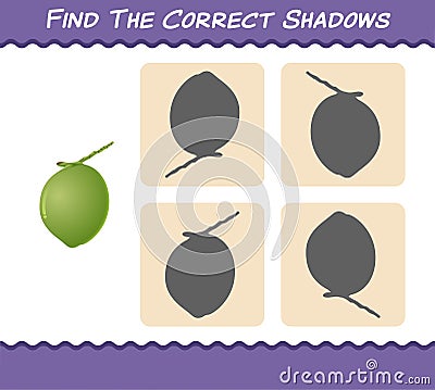 Find the correct shadows of cartoon coconuts. Searching and Matching game. Educational game for pre shool years kids and toddlers Vector Illustration