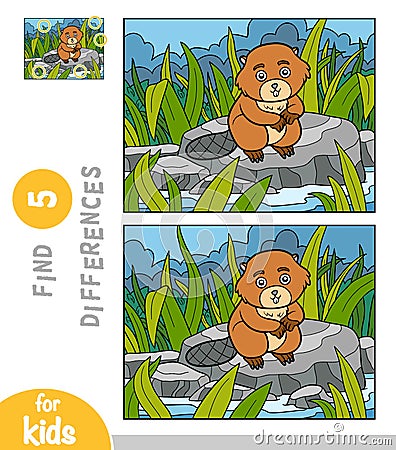 Find differences, education game for children, Beaver sits on a stone by the river Vector Illustration