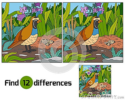 Find differences Vector Illustration