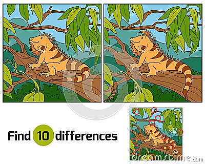 Find differences (iguana) Vector Illustration