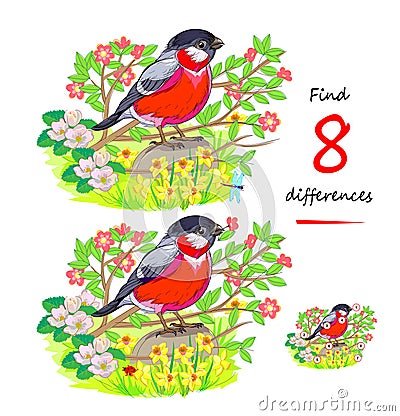 Find 8 differences. Illustration of cute bullfinch in spring garden. Logic puzzle game for children and adults. Page for kids Vector Illustration