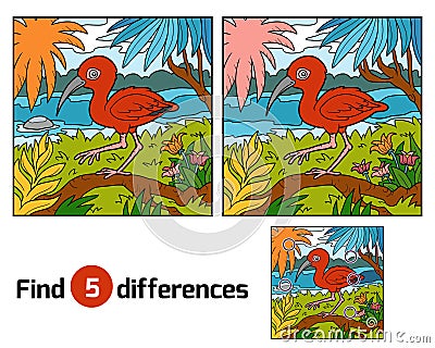 Find differences, Scarlet ibis Vector Illustration