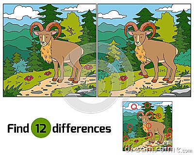 Find differences (Urial, wild sheep) Vector Illustration