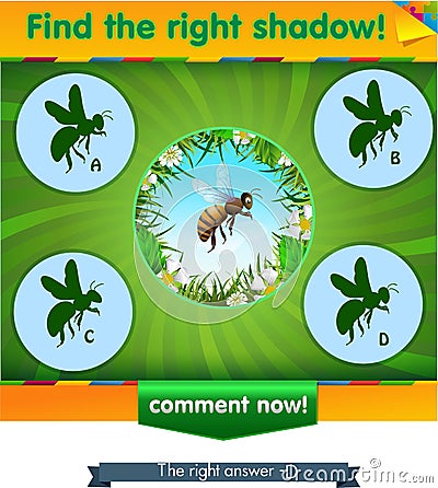 Find right shadow bee Stock Photo