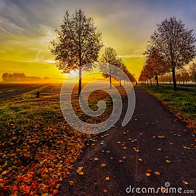 Glorious autumn sunrise over an alley with a dramatic sky and a cycle path with foliage Stock Photo