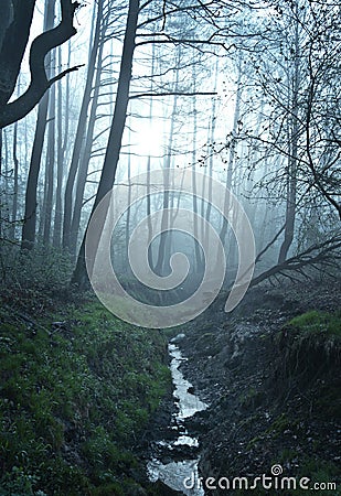 Fine art fantasy color outdoor nature image of a small river / creek in a foggy winter forest with rocks,undergrowth,bridg Stock Photo