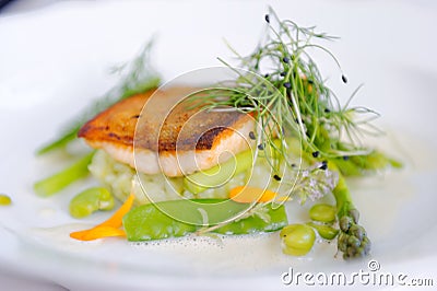 Fine dining, Trout fish fillet breaded in herbs and spice Stock Photo