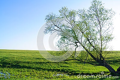 Fine landscape Stock Photo