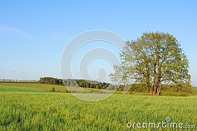 Fine landscape Stock Photo