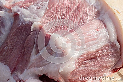 Fine meat - pork loin with bones . Raw pig meat Stock Photo