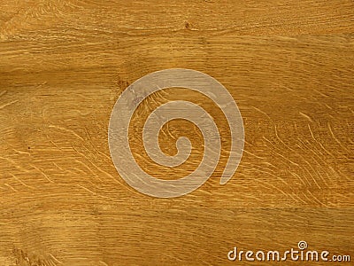 Golden oak. Fine oak tree wood texture pattern background. Exquisite Design Oak Wood Grain. Stock Photo