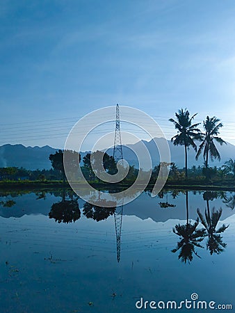 Reflections In Country Road Stock Photo