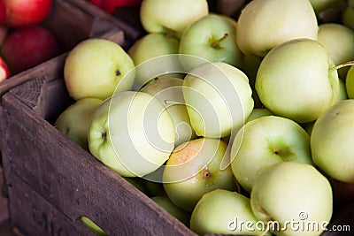 Fine ripe green apples Stock Photo