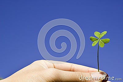 Finger holiding a clover in sky background Stock Photo