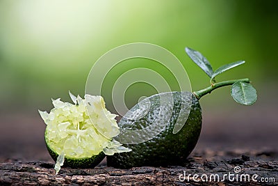 Finger Lime fruits, green leaves on nature background Stock Photo