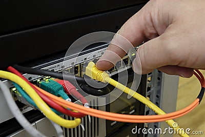 The finger points to the connected UTP cable to the switch. Computer network cable. Stock Photo