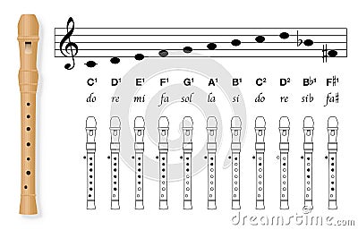 Fingering Chart Recorder Basic Covered Holes Tuned In C Music Chart Vector Illustration