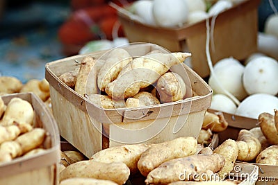 Fingerling Potatoes Stock Photo