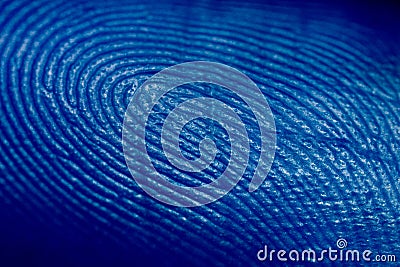 Fingerprint Stock Photo