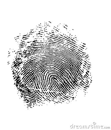 FingerPrint of the thumb isolated on the white background. Stock Photo