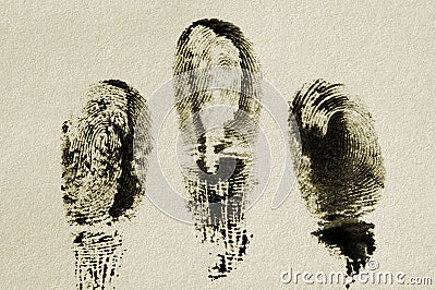 Fingerprint. Stock Photo